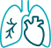 Angiologia